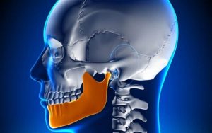Home 37 mandibula