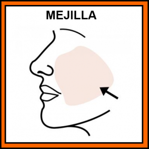 Home 149 mejilla