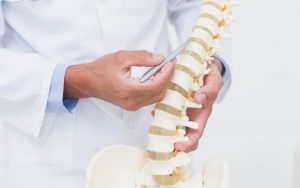 Home 26 partes-de-la-columna-vertebral