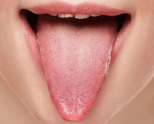 Home 120 partes-de-la-lengua
