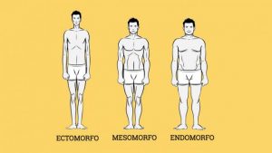 Home 156 tipos-de-cuerpo