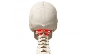 Home 60 vertebras-cervicales