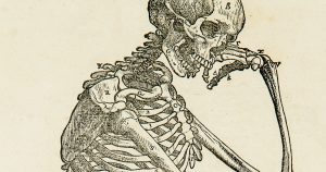 Home 173 osteologia